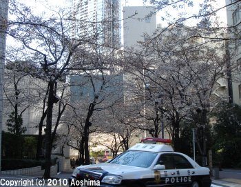 桜坂とパトカー