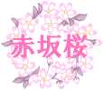 赤坂桜